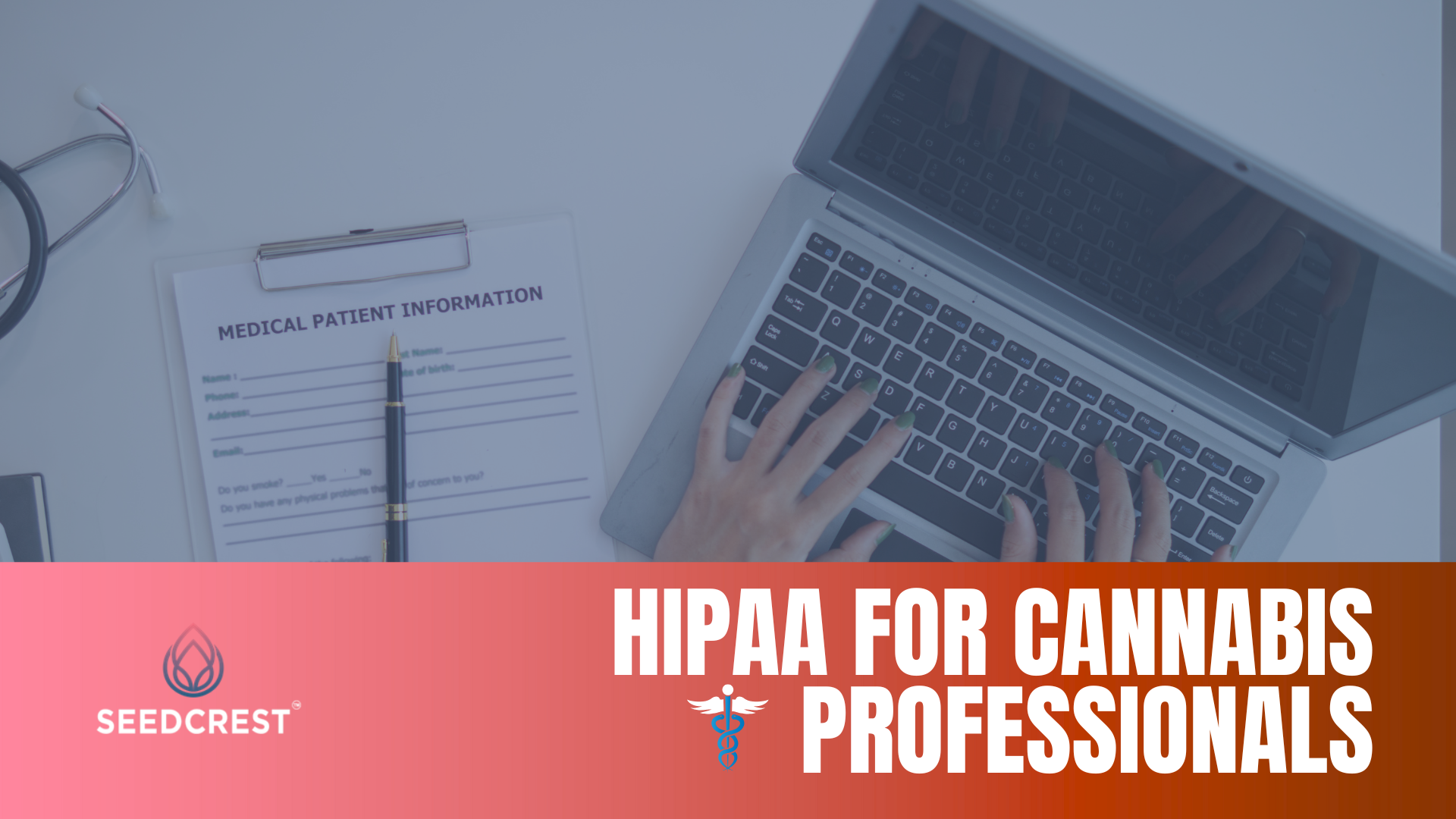 HIPAA for Cannabis Professionals
